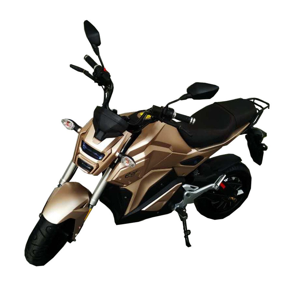 Electric Motorcycle with Disk Brakes (EM-006)