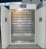Electric Power Automatic 300 Eggs Chicken Egg Incubator