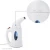 Import Electric Steam Iron Handheld Fabric Steamer from China