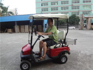 Electric Used Golf Carts for sale with portable design fit for larger vehicle