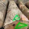 european ash wood oak cypress log iroko logs