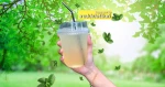 Factory and Wholesale OEM Peppermint Tea Flavor Tea Organic Tea Thailand