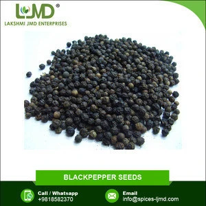 Factory Cleaned Pure Black Pepper Seed in Bulk at Wholesale Price