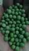 Factory Supply Green Peas