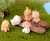 Import Factory supply small mini cute Resins animal dog cat accessories zen garden mini landscape fairy garden decoration resin crafts from China
