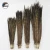 Import Factory Wholesale price Natural Ringneck Pheasant Tail Feathers (20-22inch)50-55CM  For Carnival Costumes Decorate and Hat from China