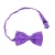 Import Fashion Clothing Purple Suspender And Adjustable Bow Tie And Fedora Hat For Carnival Costume from China