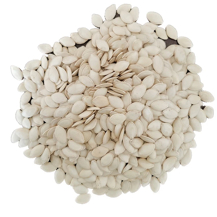 Fast delivery cheap pumpkin seeds hulled snow white pumpkin seed