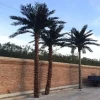 Faux Big Outdoor Fake Tree Plastic Leaves Tall Artificial Large Coconut Palm Tree