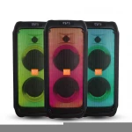 Feiyang double 5.5 inch surround HiFi sound active amplifier karaoke speaker system BT/USB wireless house party speaker FG205-08