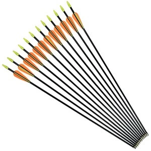 Fiberglass Arrows for Youth Practise Recurvebow Compound Bow Shooting