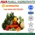 Import Food Grade MSG 99% (Monosodium Glutamate) from China