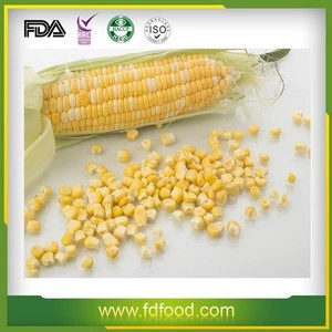 Best Quality Frozen Dried Sweet Corn in Best Rates