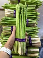 FRESH ASPARAGUS / FROZEN ASPARAGUS
