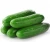 Import Fresh Cucumber/Frozen Cucumber from USA