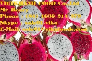 Fresh Dragon Fruit - Heaven tropical fruit Viet Nam - best price and top quality