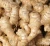 Import fresh ginger/market prices for ginger/dried ginger bulk fresh ginger from China