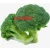 Import Fresh Green CauliFlower from Vietnam