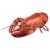 Import Fresh Lobster for sale / frozen Lobster from France