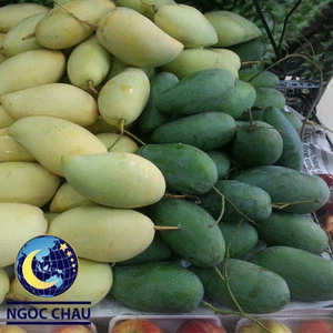 Fresh Mango 100% Natural and Best Price