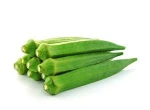 Fresh Okra Lady Finger /Fresh Green Okra/Okro For Sale