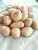 Import FRESH POTATOES FOR SALE AT BEST PRICE FROM SITCO from India