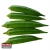 Import Fresh Quality Lady Finger (Okra) from Pakistan