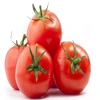 Fresh Tomatoes 2020 New Season Delicious High Quality Red Tomato From Turkey