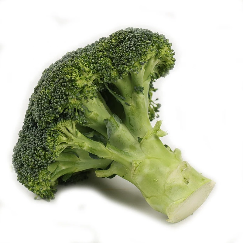 Fresh Vegetables Top Quality Wholesale Fresh Brocoli  In Bulk With HACCP Certificate