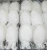 Import FROZEN CLEANED BABY CUTTLEFISH from China