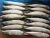 Import frozen mackerel fish whole round from China