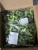 Import Frozen Organic Broccoli bottom price new crop from China