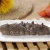 Import FROZEN SEA CUCUMBER from China