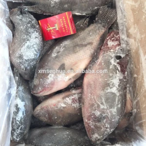 frozen tilapia seafood importer from Africa