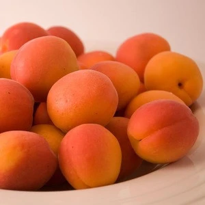 Frseh apricots