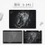 Import Full Body Laptop Skin Sticker for MacBook Air Pro Retina Unibody, 11 to 15 inch from China