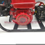 FY Harz Hz-3050b-30 Power Sprayer Plunger Pump with 6.5hp Gasoline Engine, Agricultural Motor Sprayer Pump New, Electric Sprayer