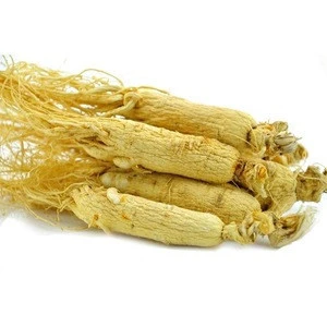 Ginseng Extract Powder Health care Products Raw Material Natural Herbal Extract