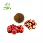 GMP Factory supply Fresh Hawthorn Berry Extract/Hawthorn Berry P.E. with Vitexin for sale