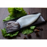 Good price frozen squid tubes giant  squid t+t Frozen bulk squid T+T