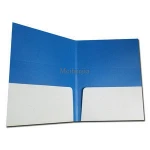 Good quality 300g two pockets Hard Paper File Folder