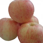 Good quality fresh royal red gala apples