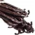 Import good quality grade A,premium Black vanilla beans from South Africa