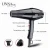 Import Hair Dryer Professional Salon Hair Dryer With Concentrator Hair Blow Dryer from China