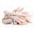 Import Halal Clean Processed Chicken Feet / Processed Frozen Chicken Paws from South Africa
