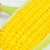 Import High Germination Rate Heat Resistant L High Yield Sweet Corn Seeds For Planting from China