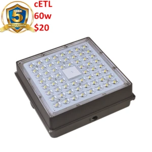 High quality 5years indoor waterproof smd 130lm/w 60w led low bay light canoy/petrol station inbow ac 100-277v explosion-proof