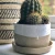 Import High quality cheap price modern garden decoration indoor ceramic wholesale succulent plant pots from China