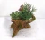 Import high quality China direct factory artificial succulent plant bonsai with good price for decoration from China