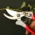 Import High Quality Home Garden Tool SK5 Stainless Steel Home Gardening Scissors from China
